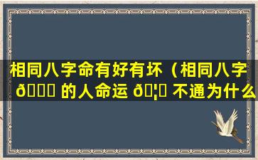 相同八字命有好有坏（相同八字 🐛 的人命运 🦆 不通为什么）